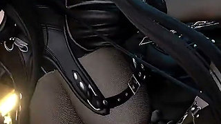 Wuthering Waves - Chisa X Rover Sex - 3D Hentai Animations