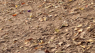 My Neighbor Is Caught Masturbating