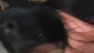 LillyWuXo Rear end OF