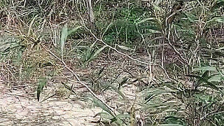Granny Looks for a Lover Nacked in the Woods