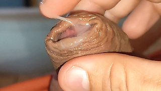 Urethral Fluid in Large Quantities Makes It Slippery.