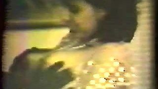 Big Boobs Carmel Do A Tit Fucking2