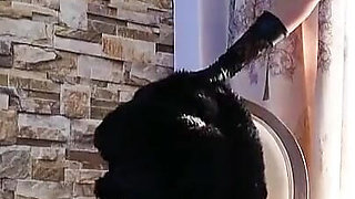 Homewrecker Pantyhose Fantasy