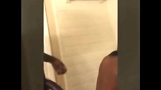 Thick Ebony BBW Loves Big Black Cock