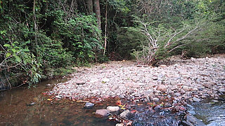 My Neighbor Lover Shaves My Egg and Then Sucks It Until All the Milk Comes Out