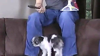 The Strip Juggleballs Loser Falls Into Dante's Hands