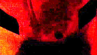 Toy Riding in Leather 5