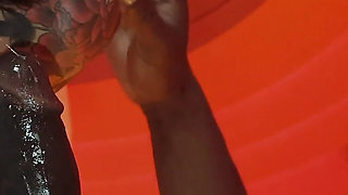 Modumbo X Patty Raven