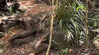 A Real Australian Experience With Aussie Hottie Jade Harper