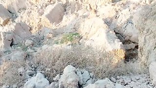 Big Ass Indian Aunty Abida Parveen Hardcore Sex - Fingering, Blowjob, Cum in Mouth, Pussy Licking in HD