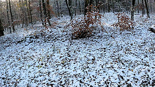 Slapping and Pulling Her Labia in the Snow