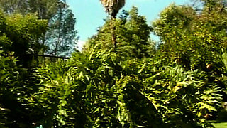 Amazing blonde babe gets a facial after outdoor fuck by the pool