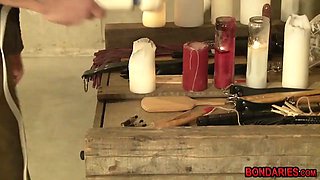 Cat suffers with pleasure while hot waxed vibed and fisted