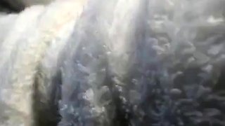 Amateur Asian Adult Video