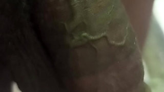 New Video Dhaka