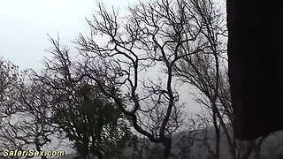 Extreme sex with a hot African housewife