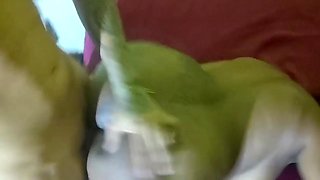 Married Assembly Pastor Loves Fucking My Ccb Wifes Pussy