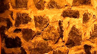 Kiss my shoes and take good care of my feet