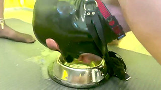 Riddy Pees Into Slave's Bowl.