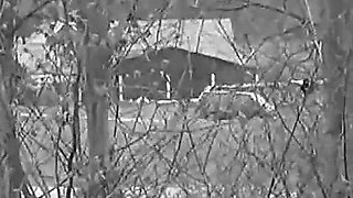 Sylvie's Double - at the Parking Lot and at the Window